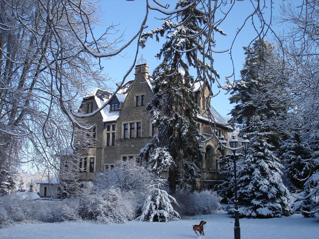 Schlosshotel Stecklenberg ثال المظهر الخارجي الصورة