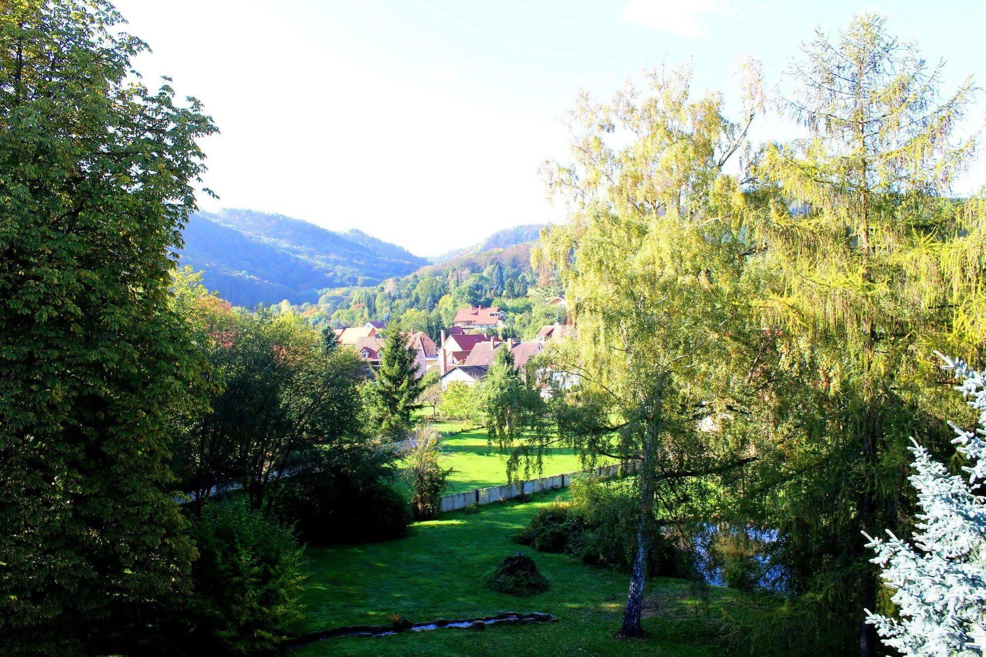 Schlosshotel Stecklenberg ثال المظهر الخارجي الصورة